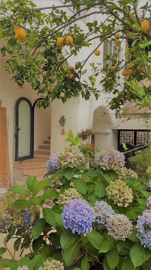 Sorrento Studios Lemons Hill Ngoại thất bức ảnh